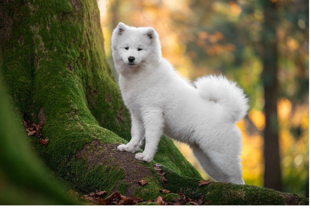 Caoimhe che esplora — Lezioni Individuali